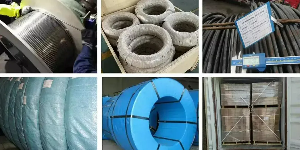 Q195 SAE1006 SAE1008 Low Carbon Steel Ms Wire Rod ASTM GB JIS DIN AISI BS Low Corban Steel Wire Supplier 1mm 2mm 3mm 4mm Spring Steel Rod/Wire